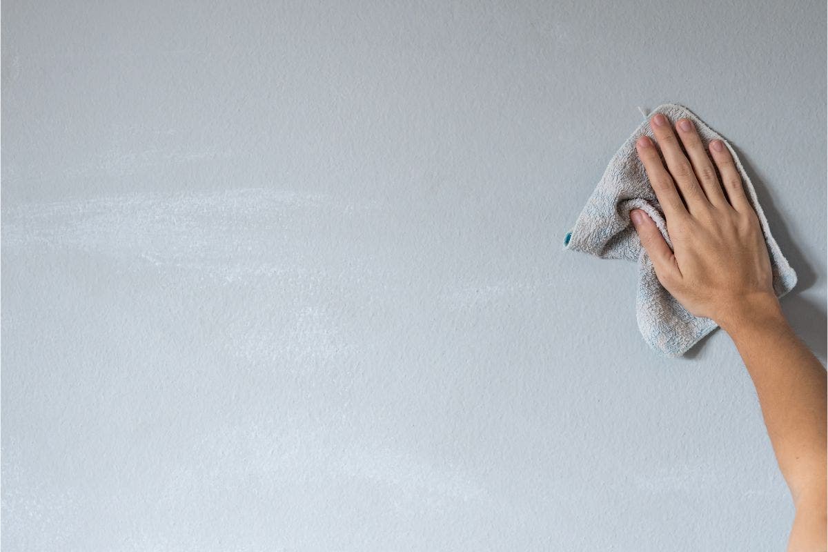 How To Clean Matte Paint Walls Like A Pro Proline Range Hoods