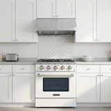 Glossy white kitchen with Proline PLSR 30GG all-gas range, stainless hood, toaster, plates, and ProlineRangeHoods.com.