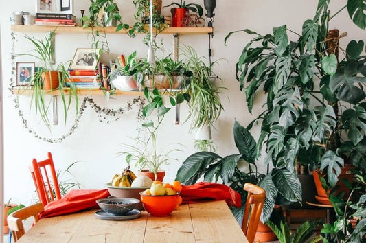 16 Dazzling Bohemian Kitchen Ideas - Proline Range Hoods