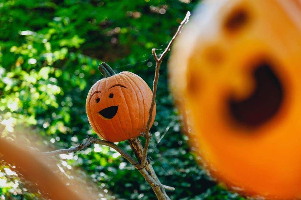 3 Festive Ways to Decorate Your Home this Halloween - Proline Range Hoods