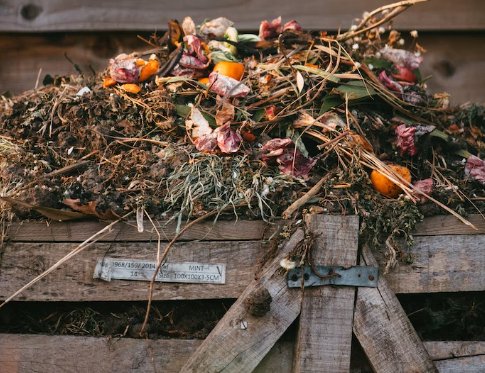 6 Compost Bin Ideas (For Indoors And Out) - Proline Range Hoods