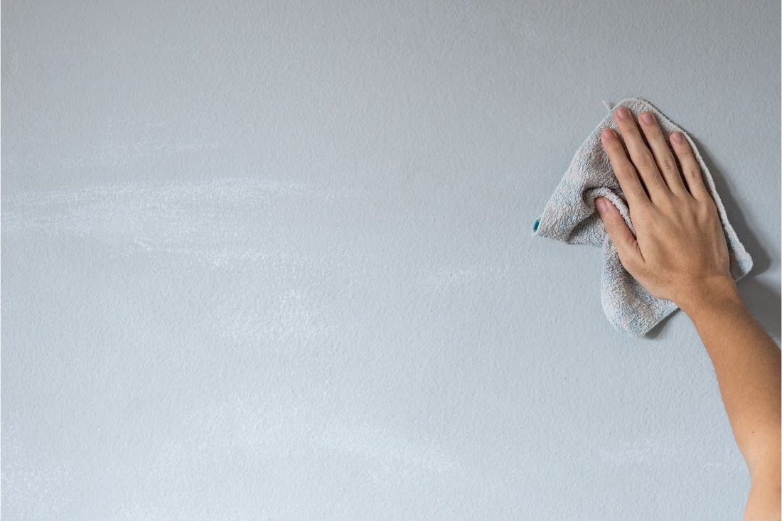 How To Clean Matte Paint Walls Like A Pro - Proline Range Hoods