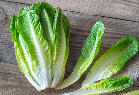 How to Revive Wilted Lettuce: Quick and Easy Tips - Proline Range Hoods