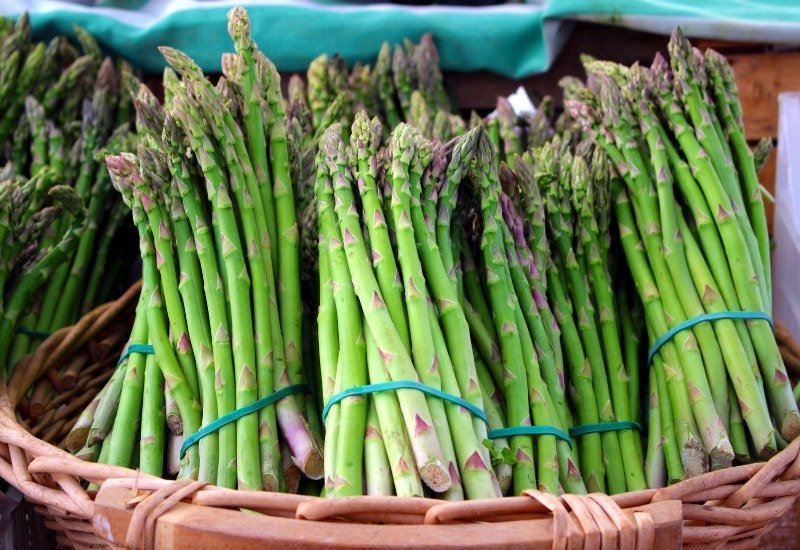 Revive Wilted Asparagus: Tips and Tricks to Bring Your Produce Back to Life - Proline Range Hoods